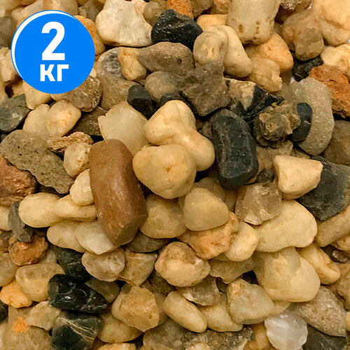 ���������� ����������� ����� ��� ��������, ����������� � ��������, Zoo One, ��������� ��������, 