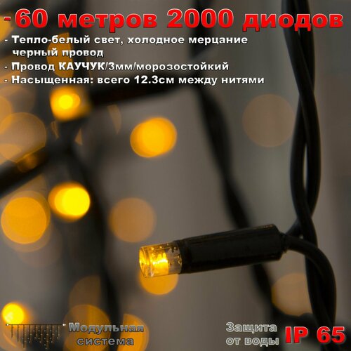    60  IP65 2000 LED  ( )     , -, 