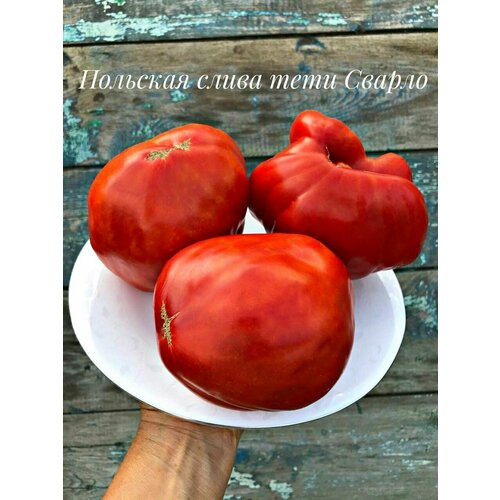 ���������� ������������� ������ ������ �������� ����� ��� ������