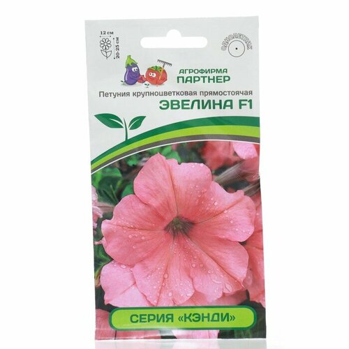 ���������� ��������� ������� ������ ������ ������� ������������ ���������� 