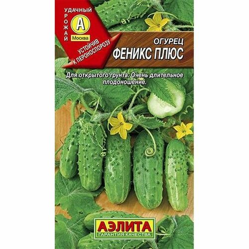 ���������� ������ ������ ������ ���� ��, ������������, (������) 20��