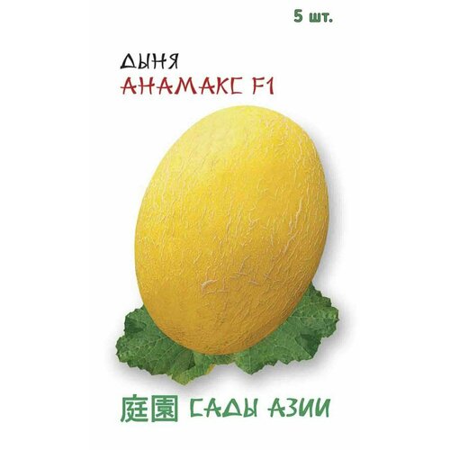 ���������� ������ ���� ������� F1 5 �� ���� ����