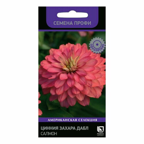 ���������� ������ ����� ������ ���� ������ 5 ��.