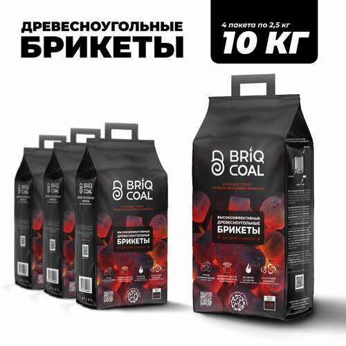 ���������� BriqMAX 10 �� - ����������������� ���������������� ������� BRIQCOAL