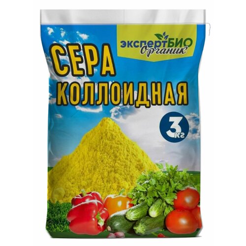 ���������� ���� ���������� ��� �������� �� ���������� ��������� ��� �������� ������� � ����