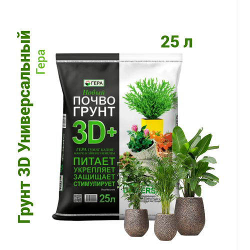 ���������� ����� (�����) ������������� ���� 3D+ ��� ��������� �������� � ������ 25 �.