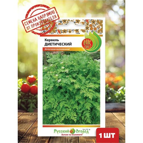 ���������� ������ ������� �����������