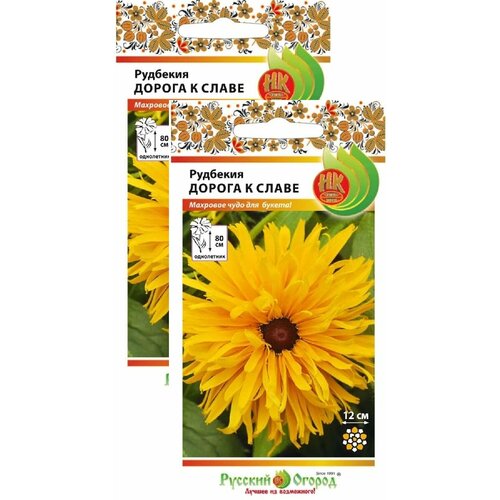 ���������� �������� ������ � ����� (30 �����), 2 ������