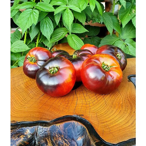 ���������� ������ ����� ����� ��� (Blue Tom) / Seeds And Goods / � �������� zip-lock ��� ���������� 10 �����