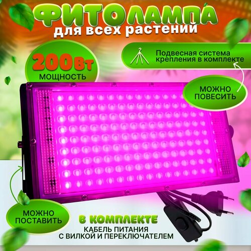 ���������� ��������� ��� ������� 200 ��, ������ � �����������, �������� ������������, ������ ������, � ��������� � ����������