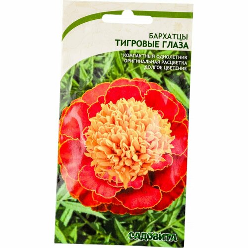 ���������� �������� ������ �������� �������� �����