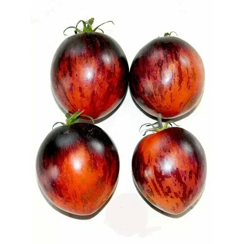 ���������� ������������� ������ ������ ���� ��������� �����