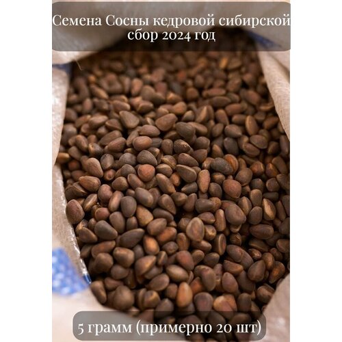 ���������� ������ ����� �������� ���������, ��� ���������� �����, ��������������, 5 ����� (�������� 20 ��)