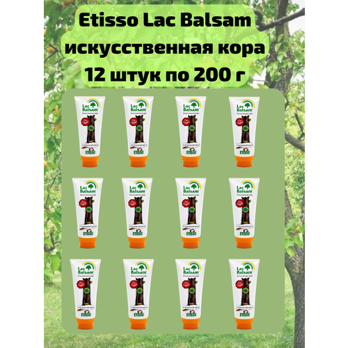  12 .         ,   , 200 Etisso / Lac Balsam   , -, 