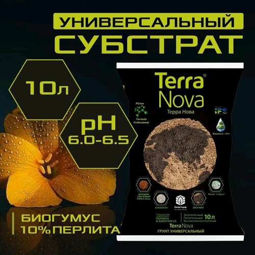 ���������� ����������� ����� Terra Nova ������������� � ���������� � ������������, 10 �.