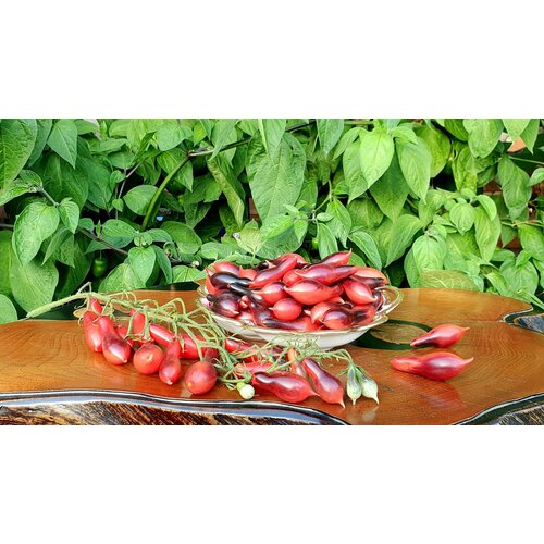 ���������� ������ ������ ������� ������� ���� (Kumquat Pink Opal) / Seeds And Goods / � �������� zip-lock ��� ���������� 10 �����