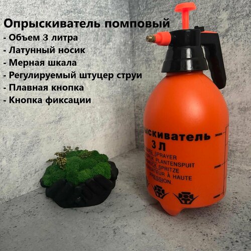 ���������� ������������� �������� 3� /����������� ��� ���� � ��������� ��������/������������� ��� ��������