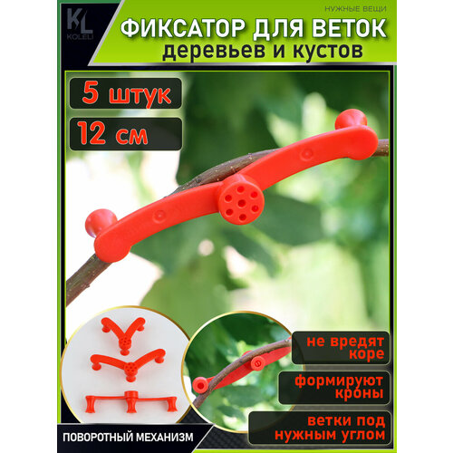 ���������� KoLeli / ���������� ��������� ��� ����� / �������� ��� ��������, ������������� ����� � ������, �������, 5 ��