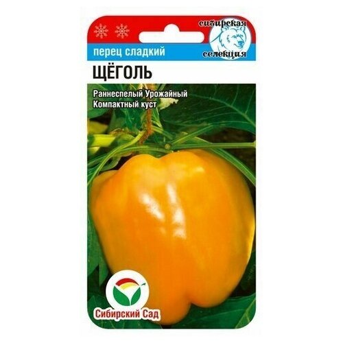 ���������� ����� ������