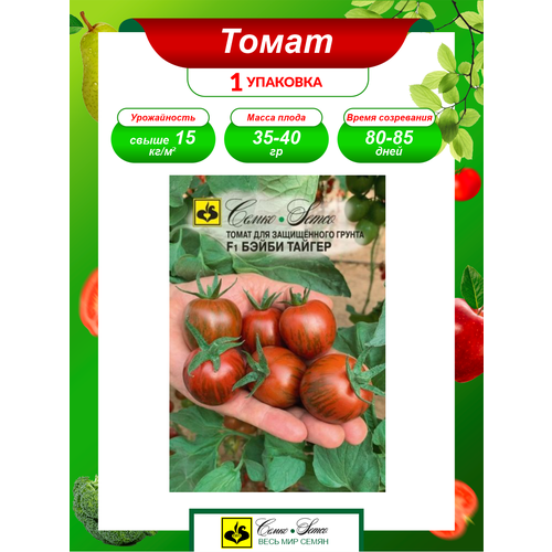 ���������� ������ ����� ����� ������ F1 ����������� 5 ��./��.