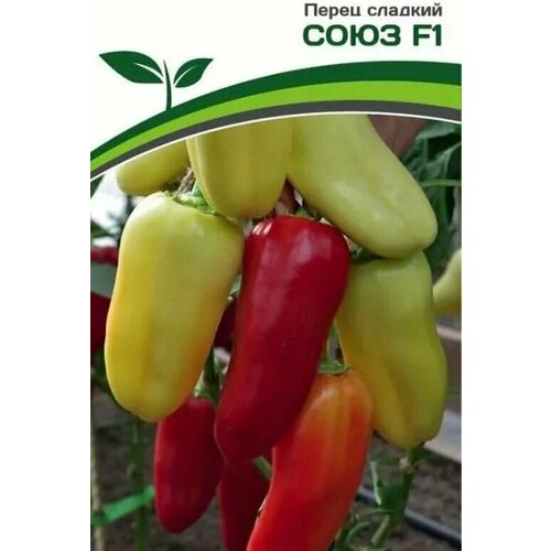 ���������� ������������� ������ ����� �������� ���� F1