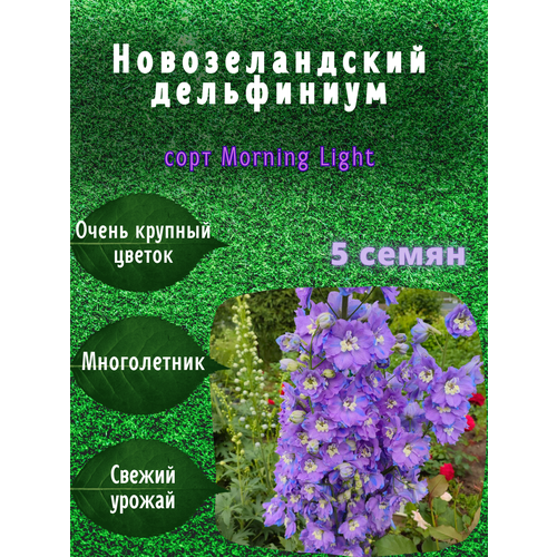 ���������� ������ ��������������� ����������� 5 �� ������ �����