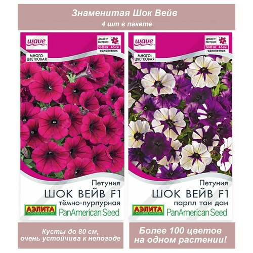 ���������� ������ ������ ��������� �������������� �������������� ������� ��� ����