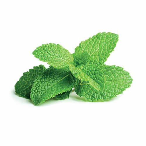 Click And Grow   Click And Grow Peppermint 3 .    Click And Grow    , -, 