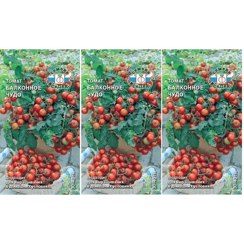 ���������� ������ ����� ��������� ���� 0,1 � (�����) , 3 ������ * 0,1 � ; �������� ��� ����������� �� ������� ��� �����������.