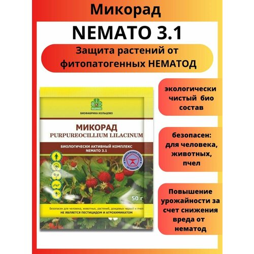  NEMATO 3.1    50    , -, 