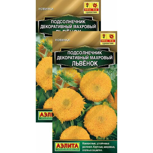 ���������� ������������ �������� ������� (0,5 �), 2 ������