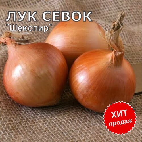 ���������� ��� ����� ������ 