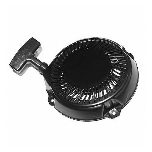   Briggs&Stratton Vanguard OHV, WP3-65 5,5/6,5 . . -  591301