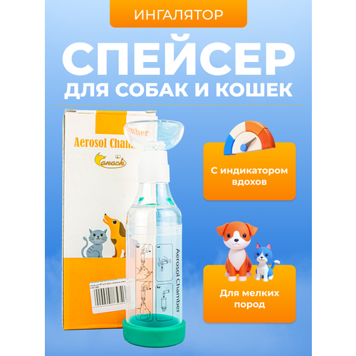 ���������� ������� wikiVET ��� ����� ��������� �������� � 1 ������, ������� (������������ ���������) ��� ��������� ����� � �����