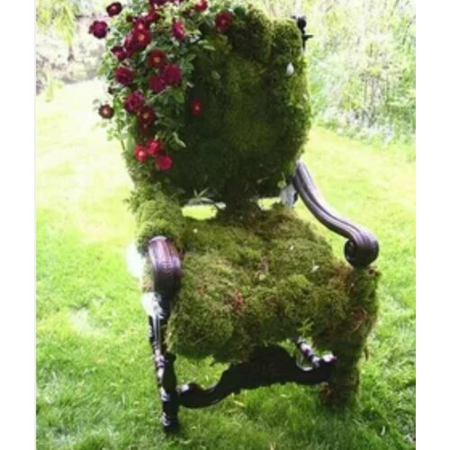 ���������� ��� �������� ������������������� � ������� 25�. ������ ����������� �����.