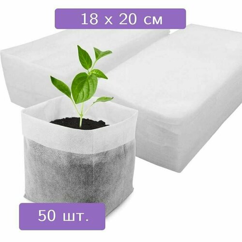 ���������� 50 ��. �������������� ����� ��� �������, ����� ����� ����� ������ ��� ������� ��������