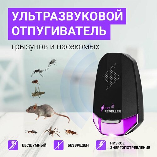 ���������� �������������� ������������ �������� � ���������, �����, ���������