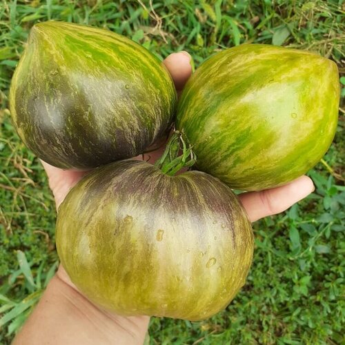 ���������� ������ ������ ����� �������� �������� ����������� vt16 10 ��.