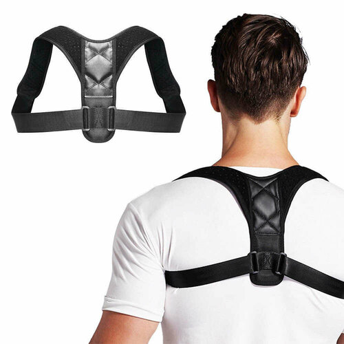   /     Posture Support NY-15 ,  ()   , -, 