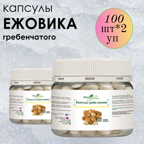 ���������� ������ ���� ����������� � �������� ����-��������, ����������� ������� ������� 100 ��*2 ��������