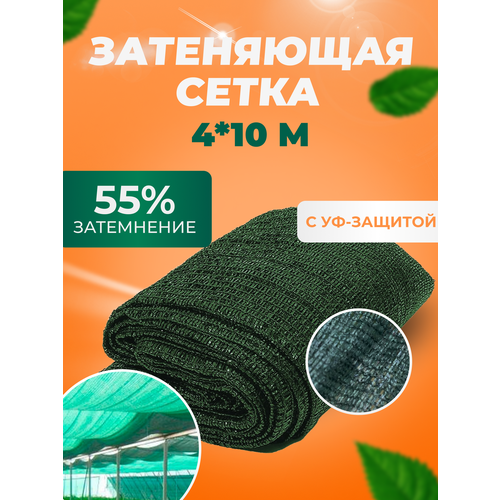 ���������� ����� ���������� �������� 55 %, 4�10� ��� ������, ������, ��������, �� ������, ��� �������, ��� ������ ���� �������