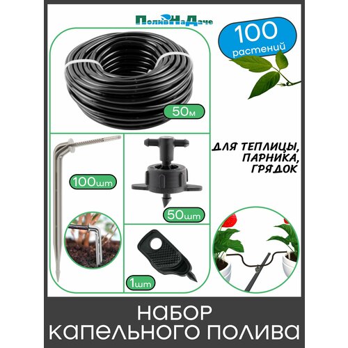 ���������� ����� ���������� ������ �� 100 �������� ��� �������, �������, ������