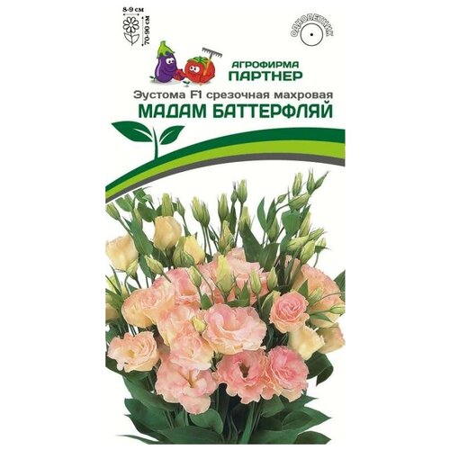 ���������� ������ ������� ��������� �������� 