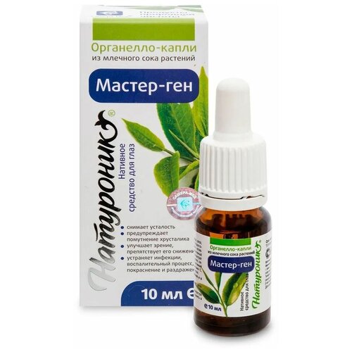 ���������� ������-��� ���������-����� ��������� ������-���, ������, ��� ����, 10 ��