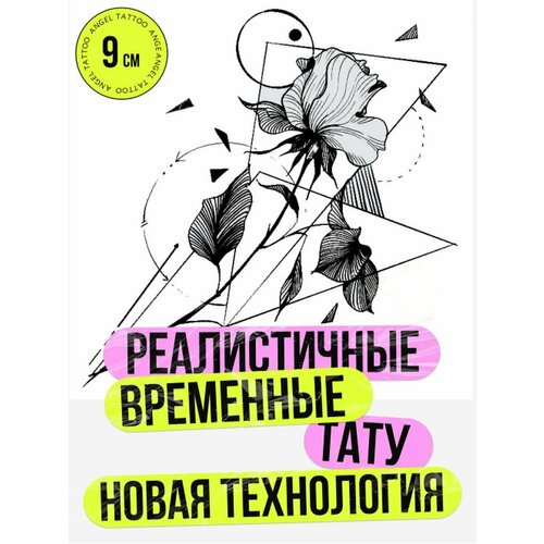 ���������� ���� ���������� �������������� �������� ���������