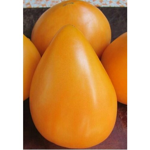 ���������� ������������� ������ ������ ������ ��������