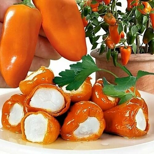 ���������� ������������� ������ ����� �������� ���� ������� ����� F1