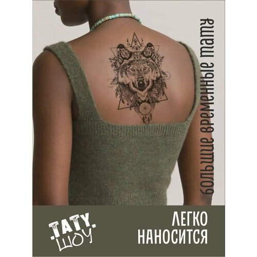 ���������� ���� �������� ����