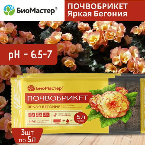 ���������� �������� ����������� ����� ������� ���������, 5� 3 �����