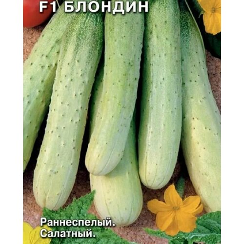 ���������� ������������� ������ ������ F1 �������